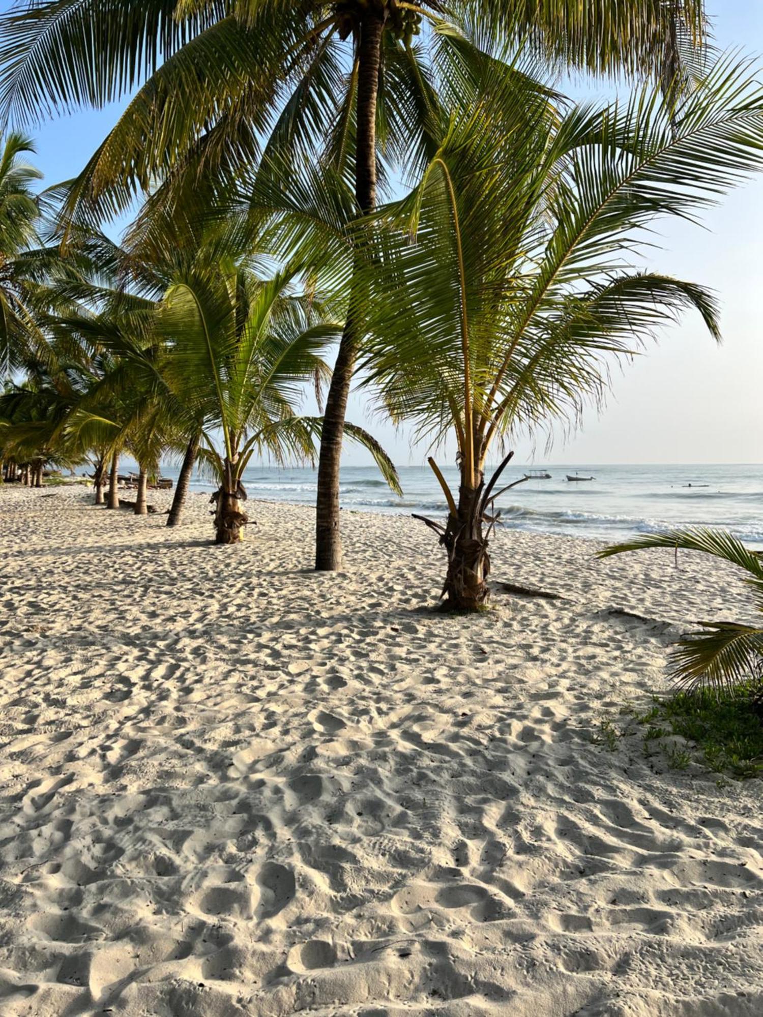 Waves And Wanderlust-Diani Beach Eksteriør billede