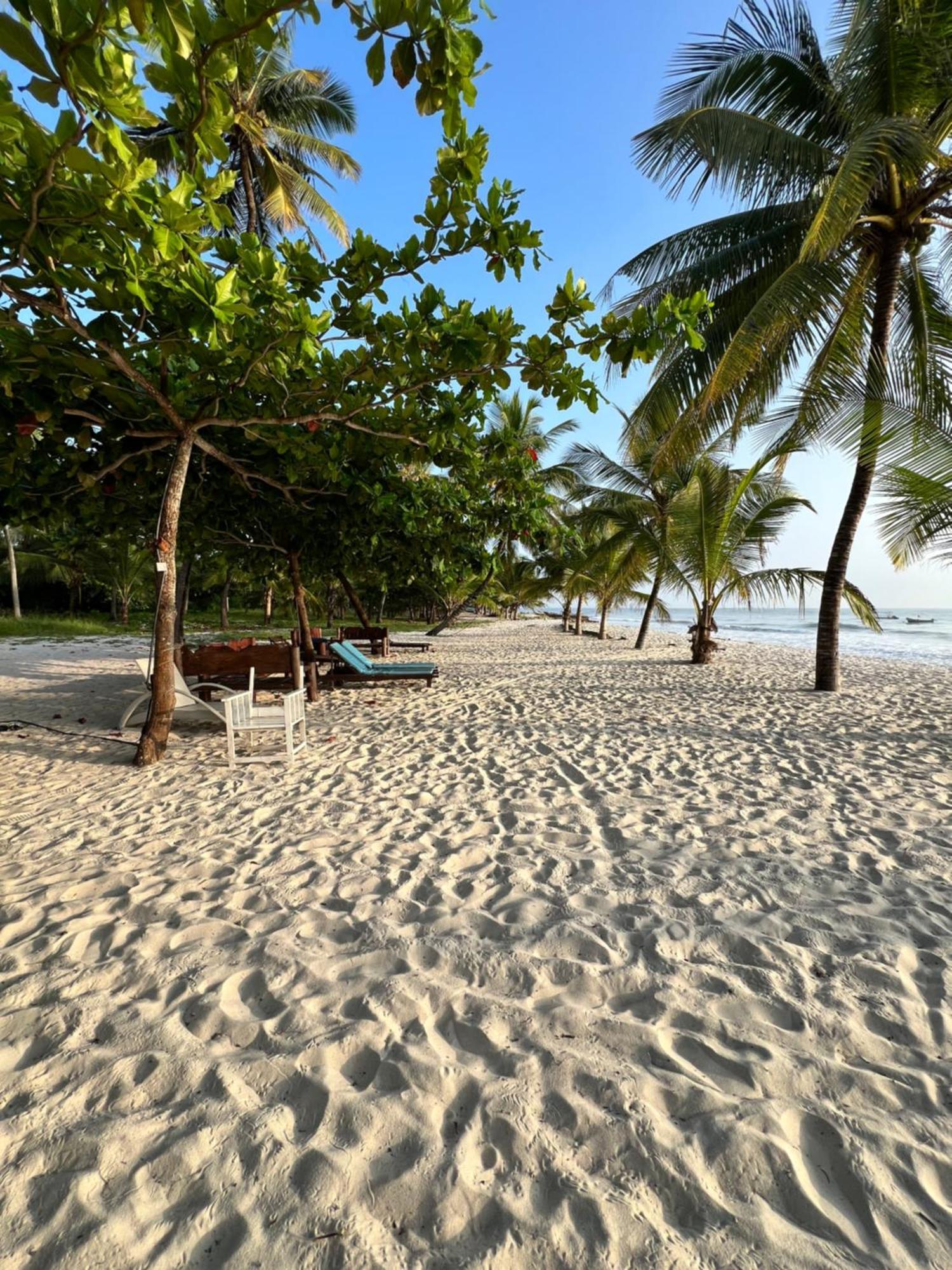 Waves And Wanderlust-Diani Beach Eksteriør billede